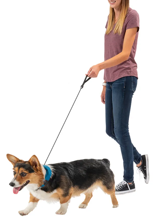 Nite Ize RadDog Leash